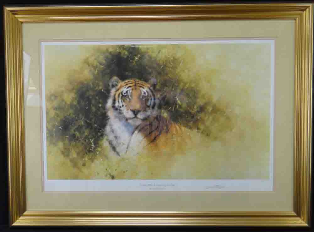davidshepherd working sketch for the painting of a tiger framed