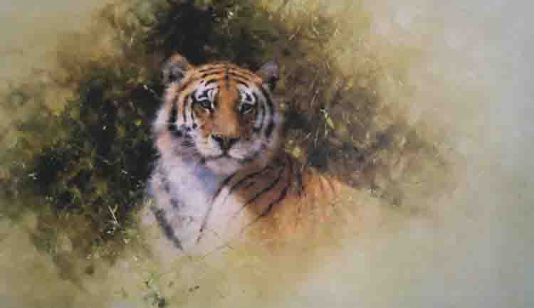 davidshepherd working sketch for the painting of a tiger