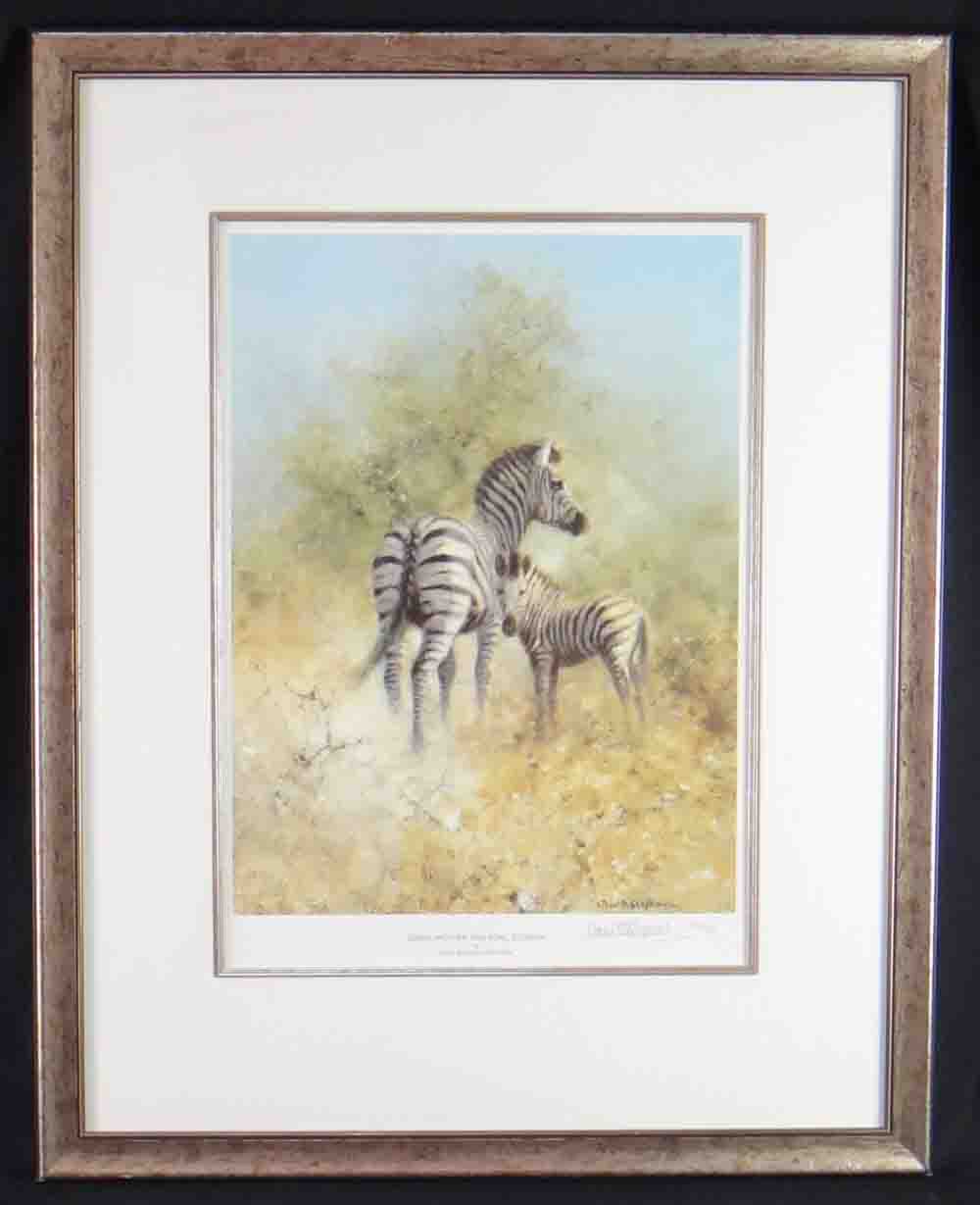 david shepherd zebra mother and foal print framed