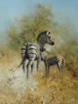 davidshepherd zebra mother foal